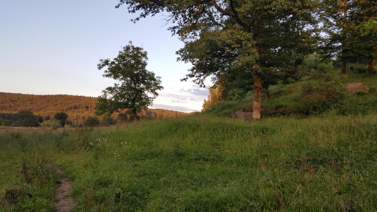 Ma Roulotte Sous Les Chenes- Au Naturel Raon-aux-Bois Zewnętrze zdjęcie