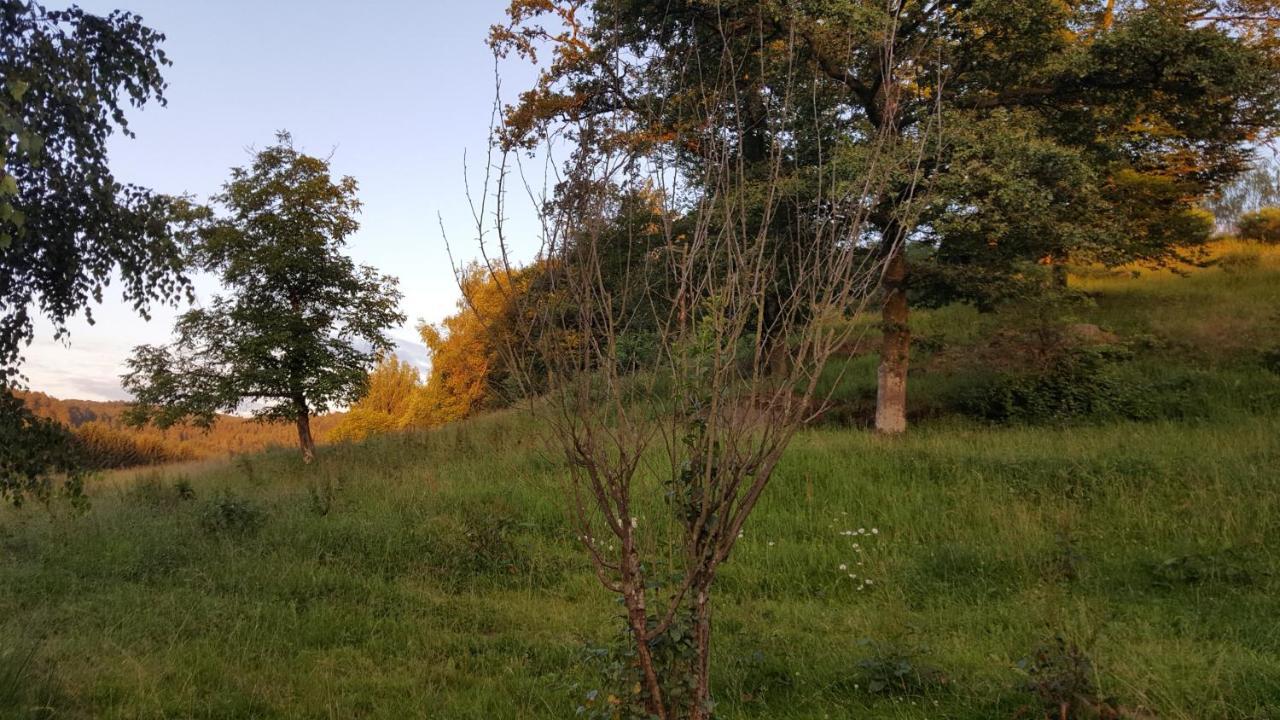 Ma Roulotte Sous Les Chenes- Au Naturel Raon-aux-Bois Zewnętrze zdjęcie
